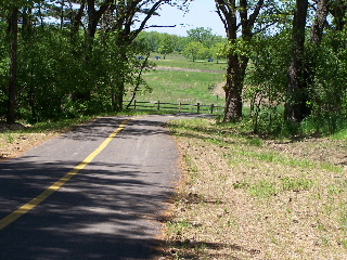 The Hill before Grassy Ridge Meadow entrance